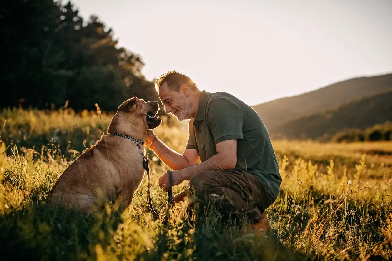 Canine loyalty
