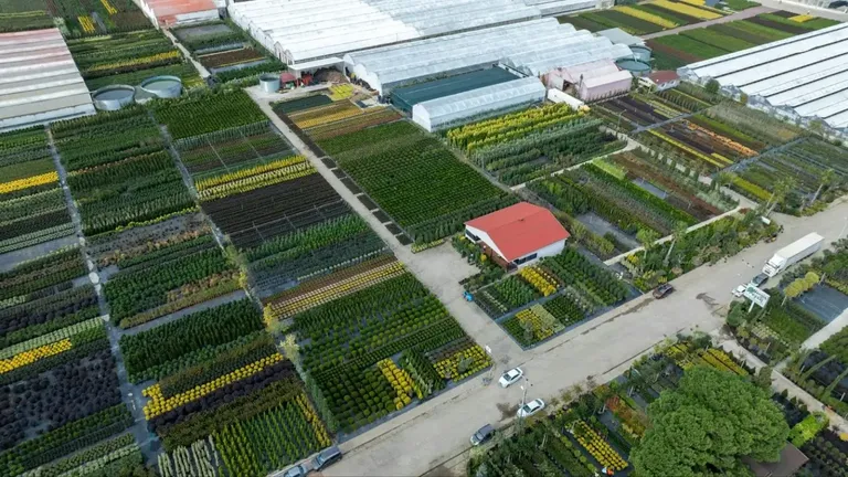 climate control in greenhouses