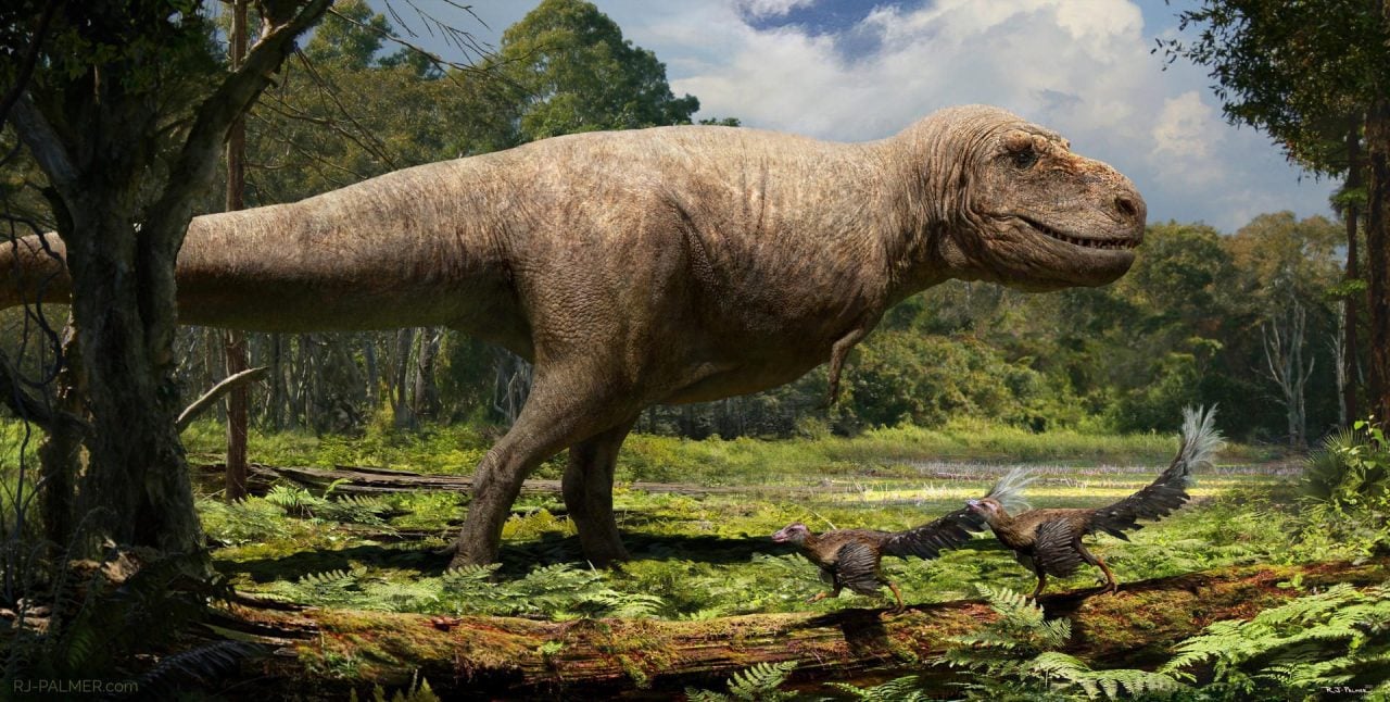 real rex by arvalis dewerbx fullview
