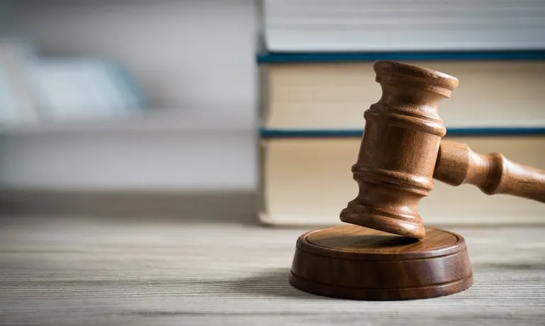 Tax dispute rights