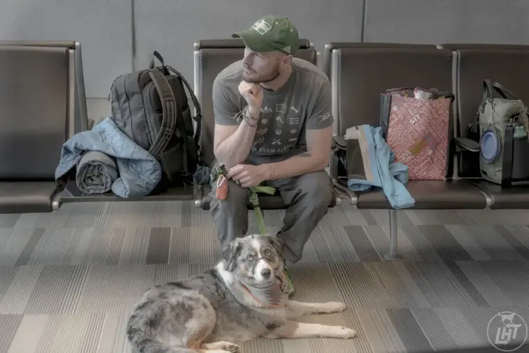 travel internationally with dog