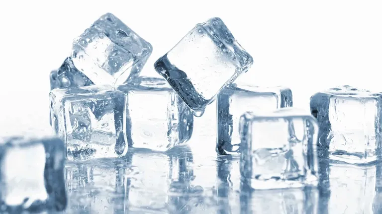 Freezer failure backup plan for caterers