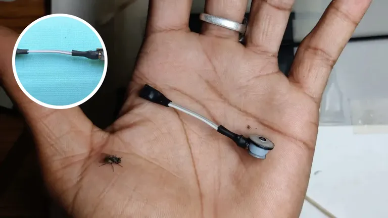 Tiny working vacuum cleaner built by 23-year-old Indian student Tapala Nadamuni, shown in his hand next to a housefly for scale