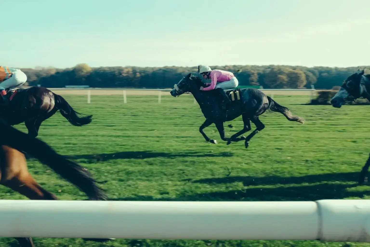 Can science improve the speed of a horse
