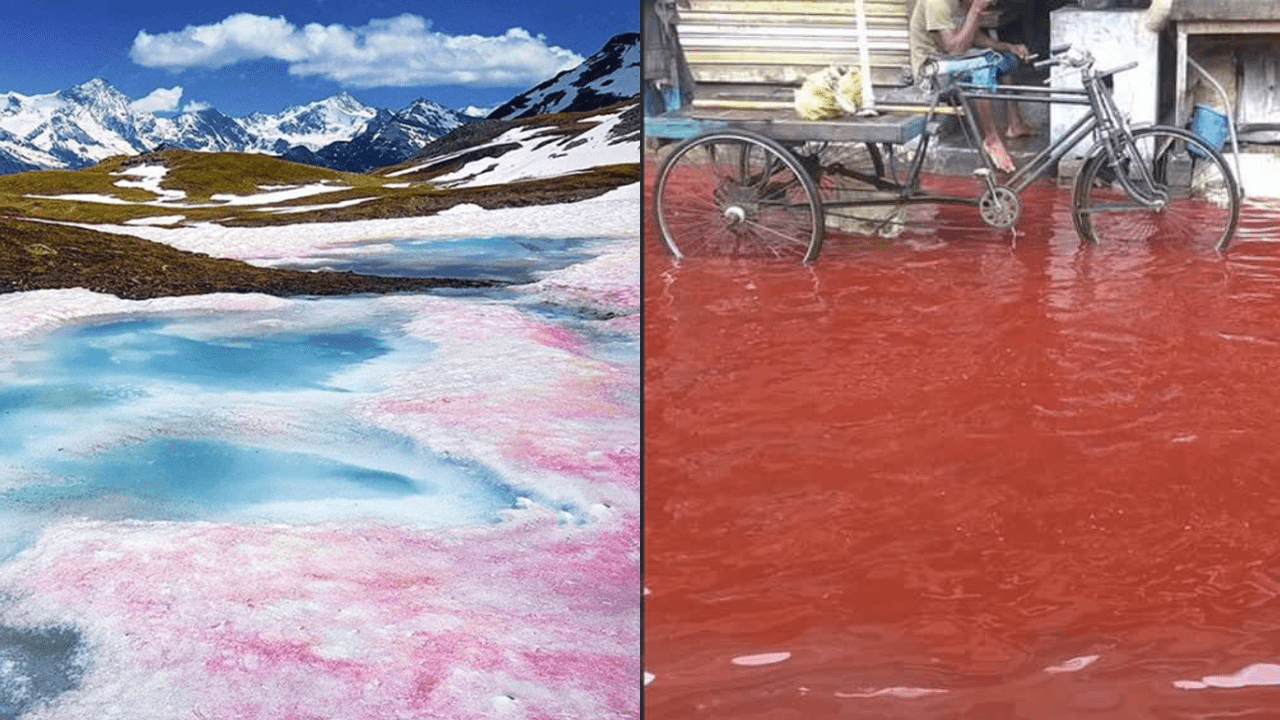 14 Strange Rains on Earth You Won’t Believe Actually Happened