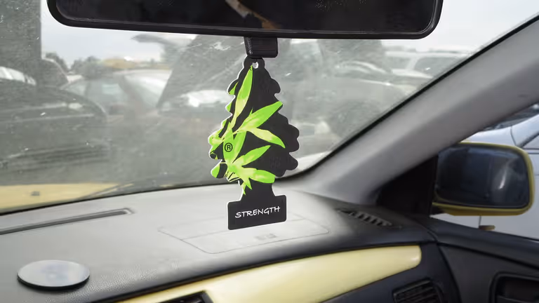 Geeky custom car air freshener