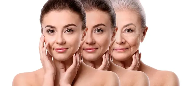 Rapamycin and longevity