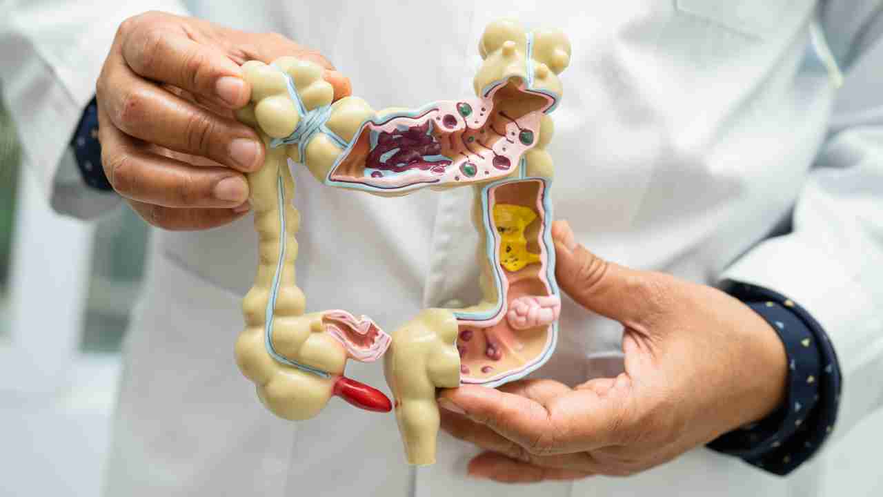 Exploring the Digestive Journey Assessing the Effectiveness of Gut Health Powders