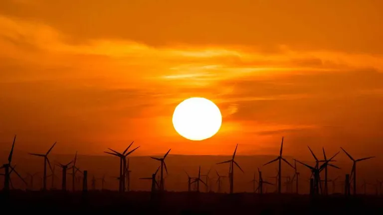 Future-Proofing Your Business Embracing Renewable Energy in a Digital World