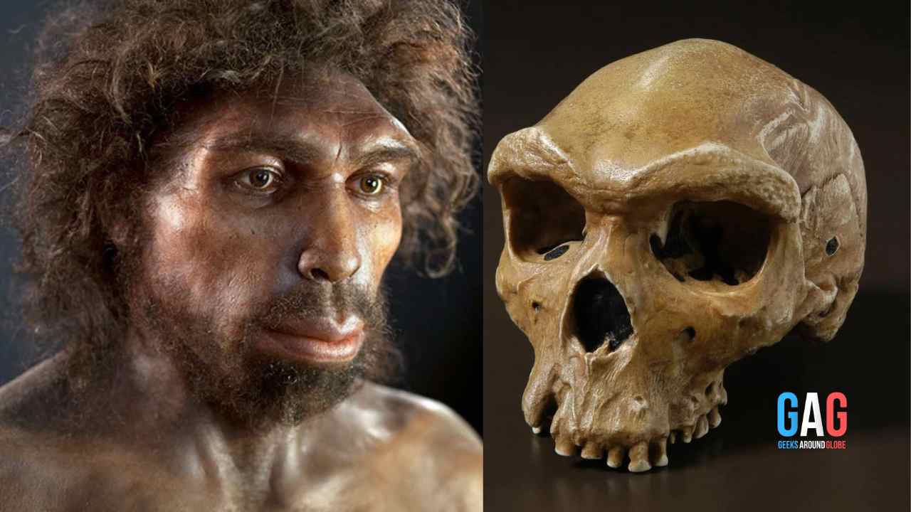 Nearly All Humans Faced Extinction Years Ago The Population Survived With Just 1280 Individuals!