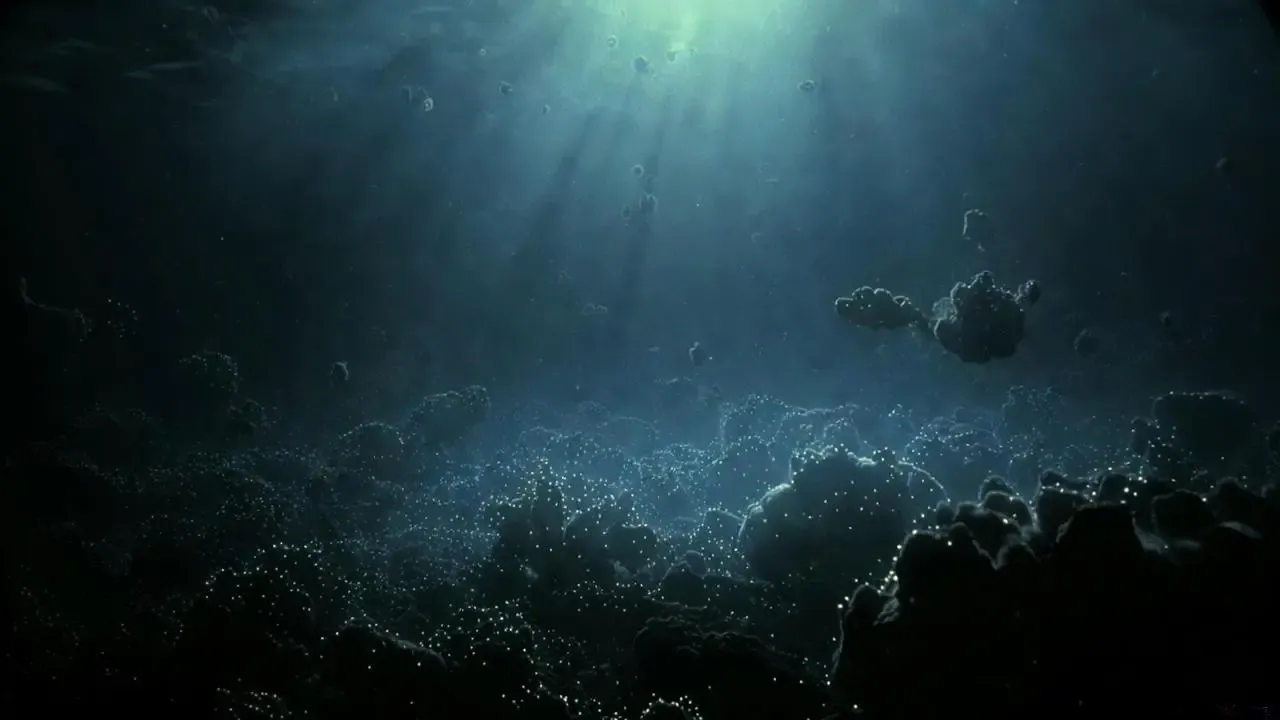 New Ocean Study Finds Hidden Carbon Source That Changes What We Knew About Life in the Deep