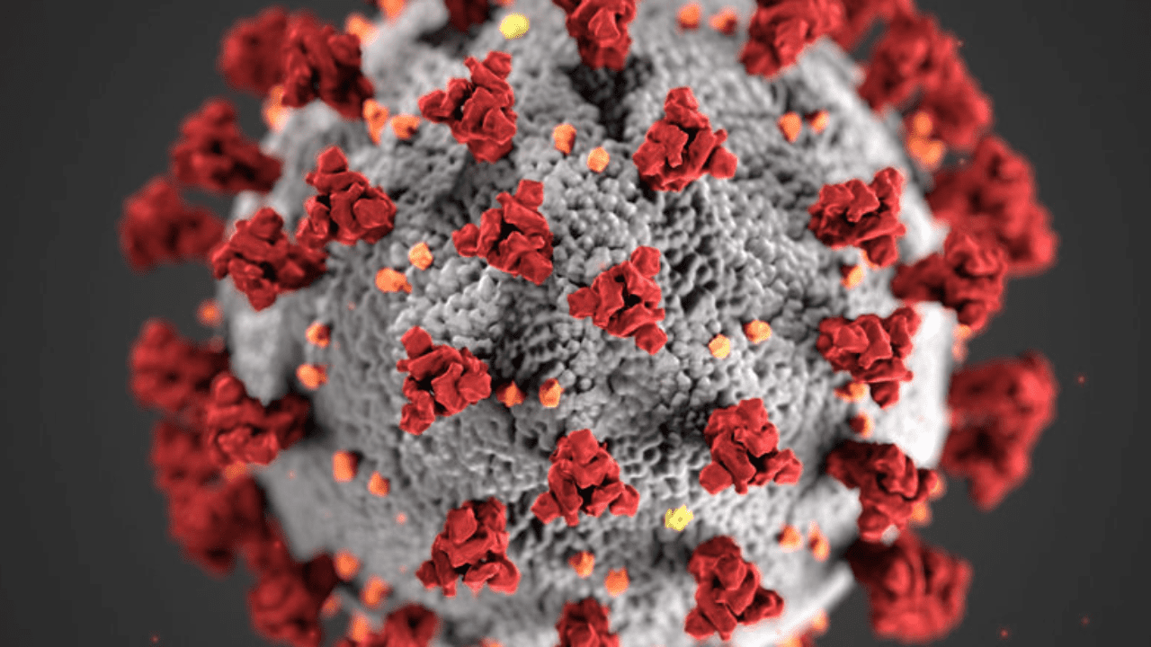 Researchers Found New Link Between COVID-19 and Brain Damage | One US Man Already Died