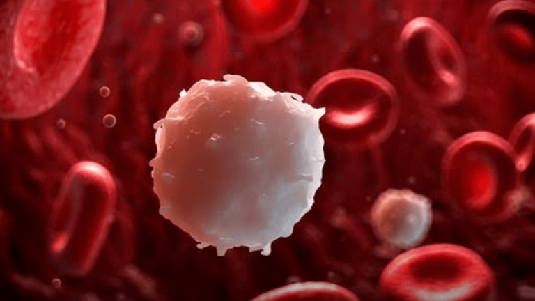 Revolutionary Blood Test Detects 14 Cancers at 95% Accuracy