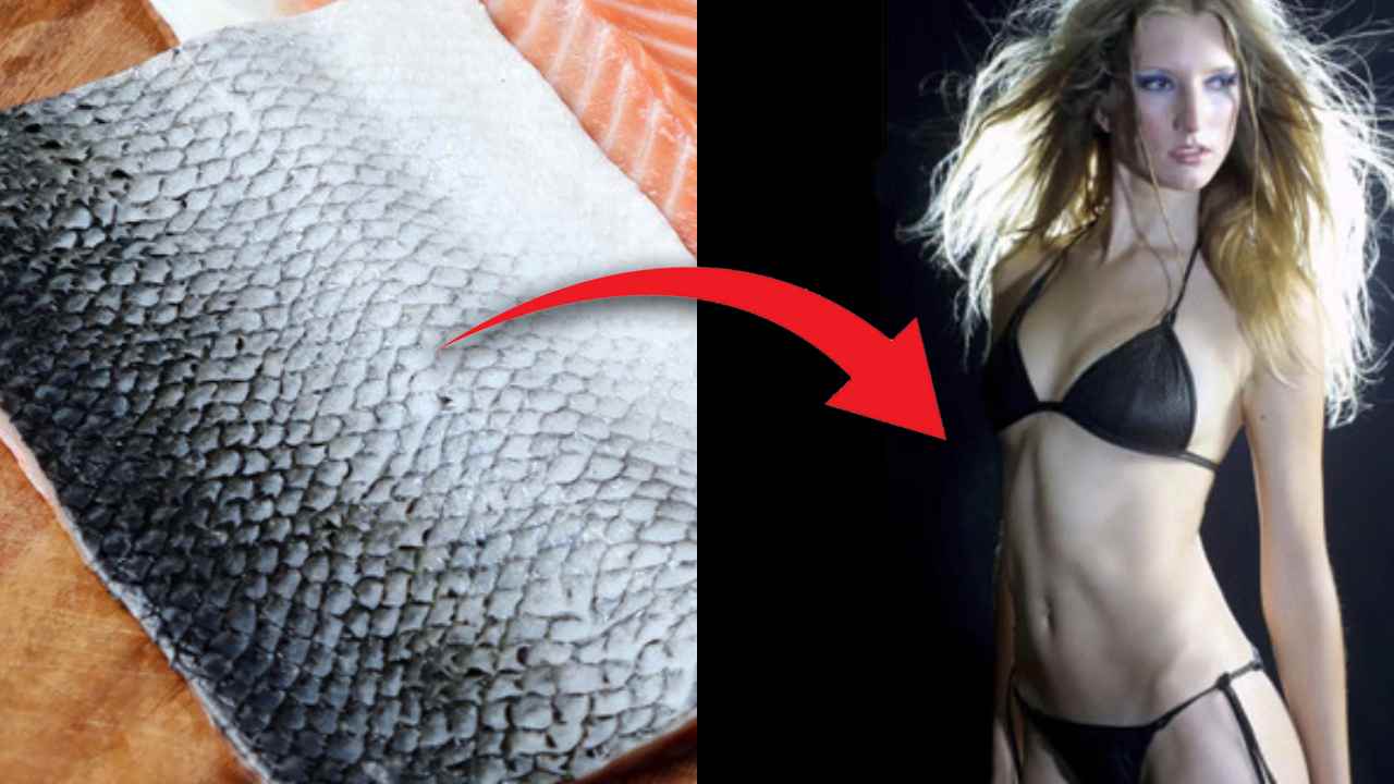 Salmon Skin Swimsuits This scaly skin invention might be an idea for the Future of Sustainable Fashion