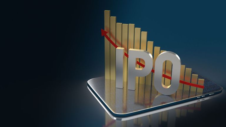 The Role of Financial Statements in Evaluating IPO Stocks
