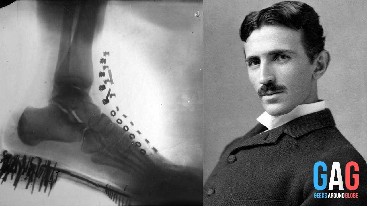 TESLA