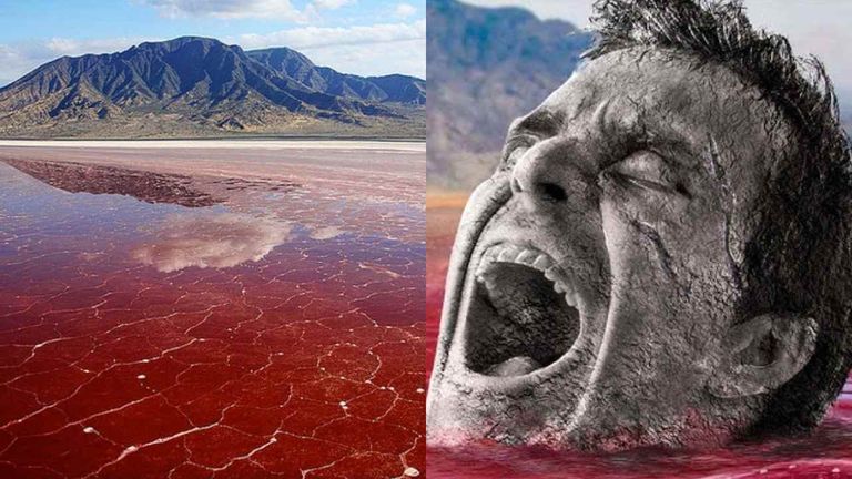 What If You Fell Into The Dangerous Blood Red Lake