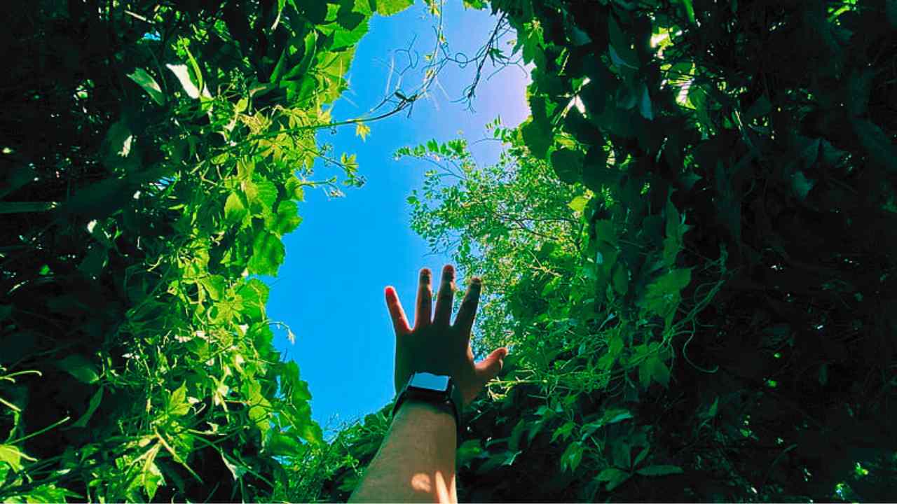 What if humans could photosynthesize