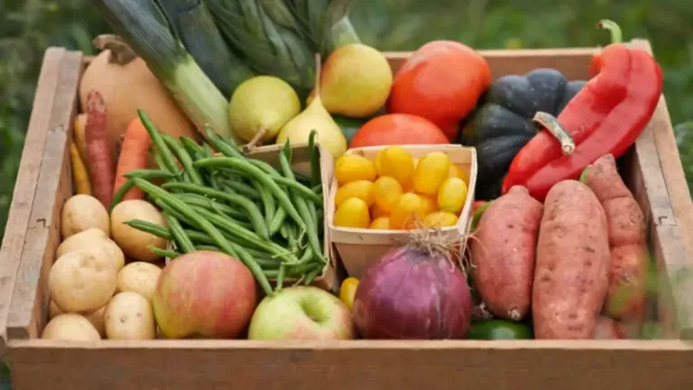 Why Farm Fresh Food is the Healthier, Tastier, and More Sustainable Choice