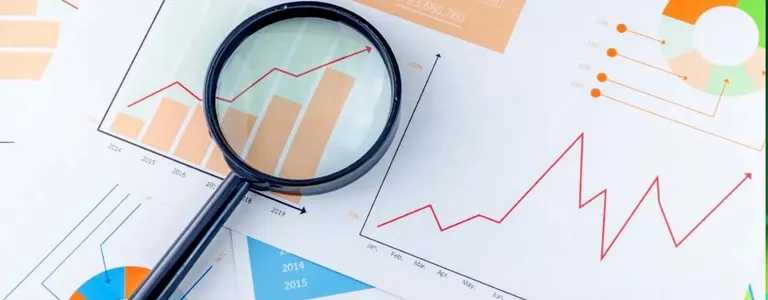 Financial statement analysis