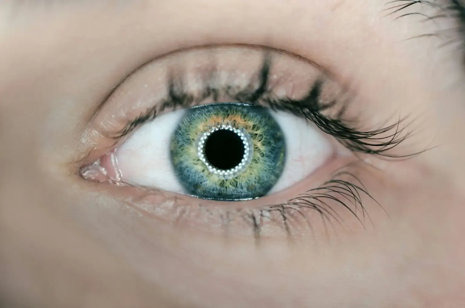 AI camera vision