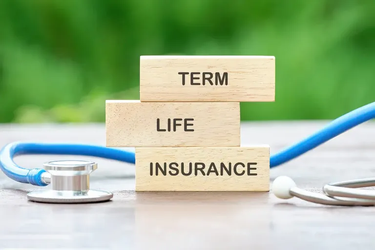 Term insurance for housewives
